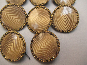 Antique Victorian Buttons set of 11 Matching