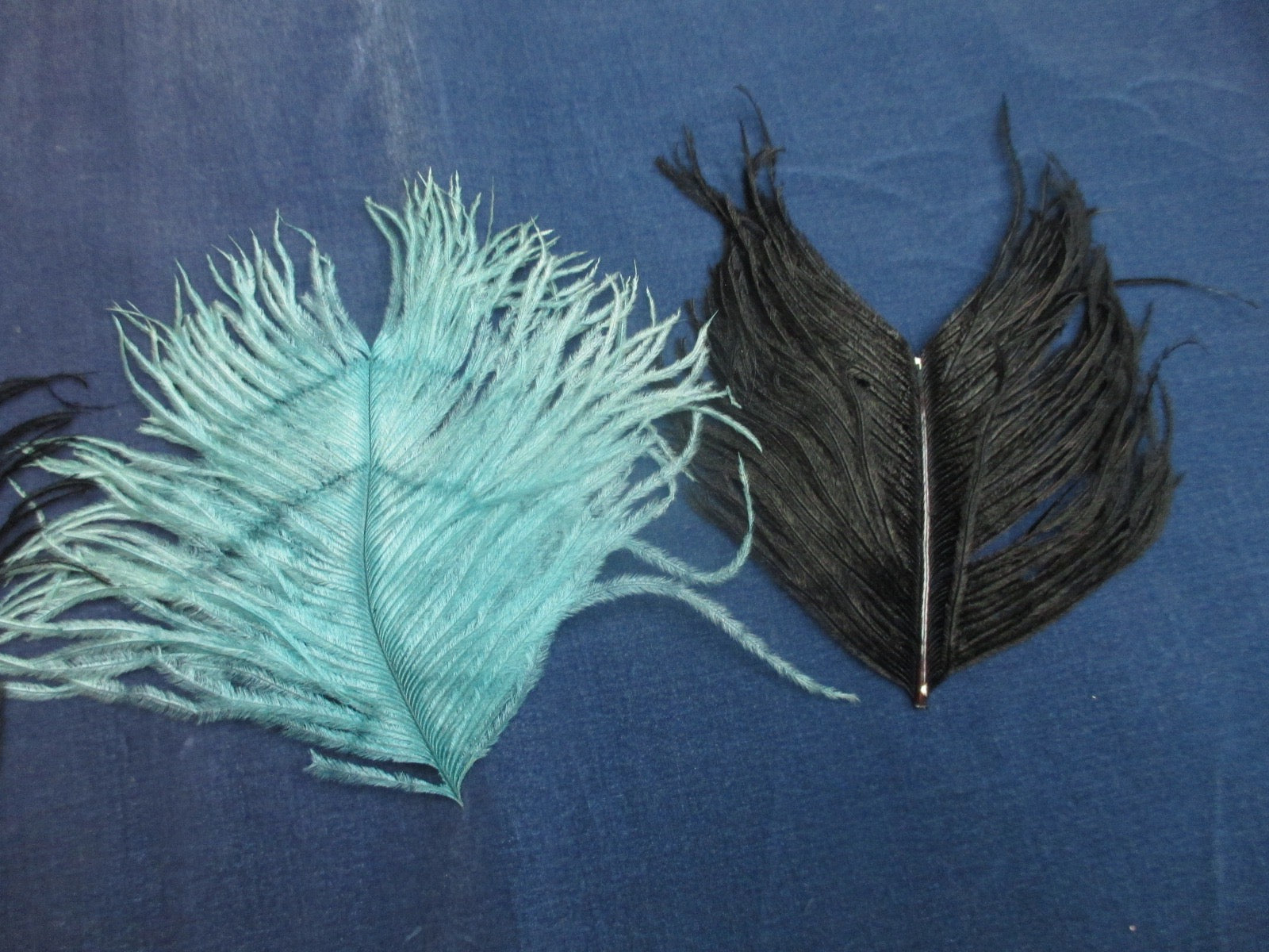 Antique Victorian Feather plumes 3 pc