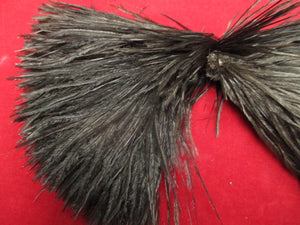 Antique Victorian millinery hat feather