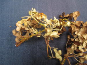 Vintage 1930s small millinery flowers