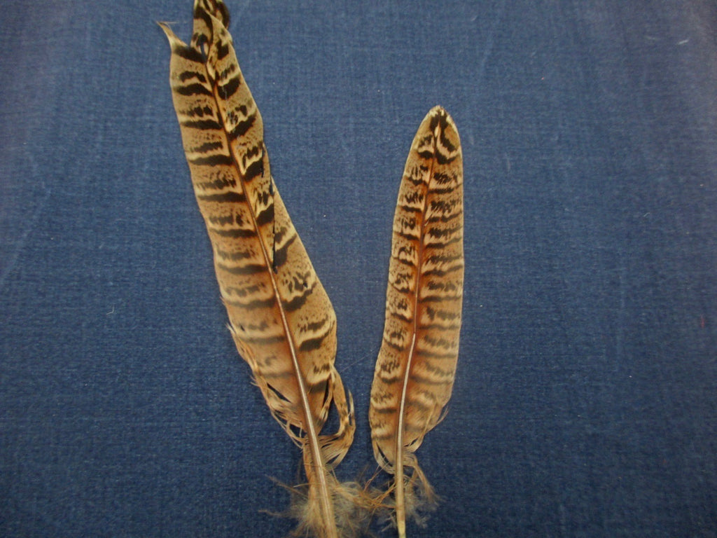 Antique Victoria Millinery hat feathers