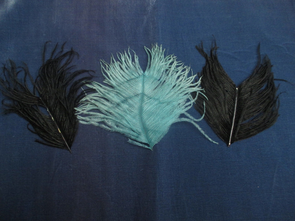 Antique Victorian Feather plumes 3 pc